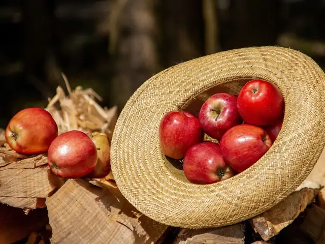 Refrigerazione Industriale per l'Industria Alimentare